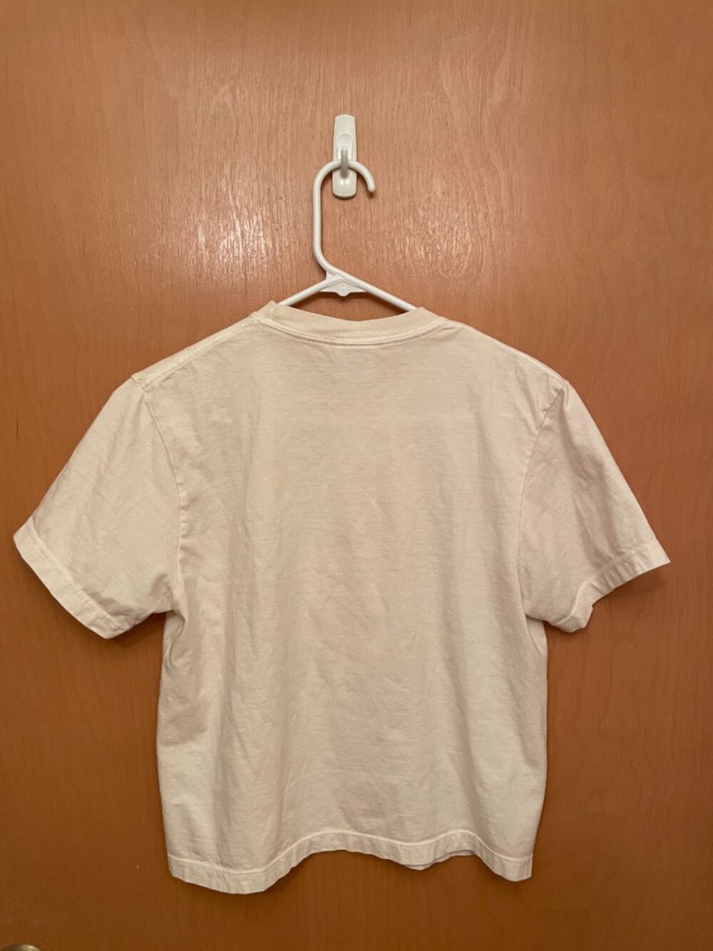 Tomato Graphic T-Shirt 100% Cotton Comfort Colors Women's Boxy Tee Ivory Small - Picture 3 of 5